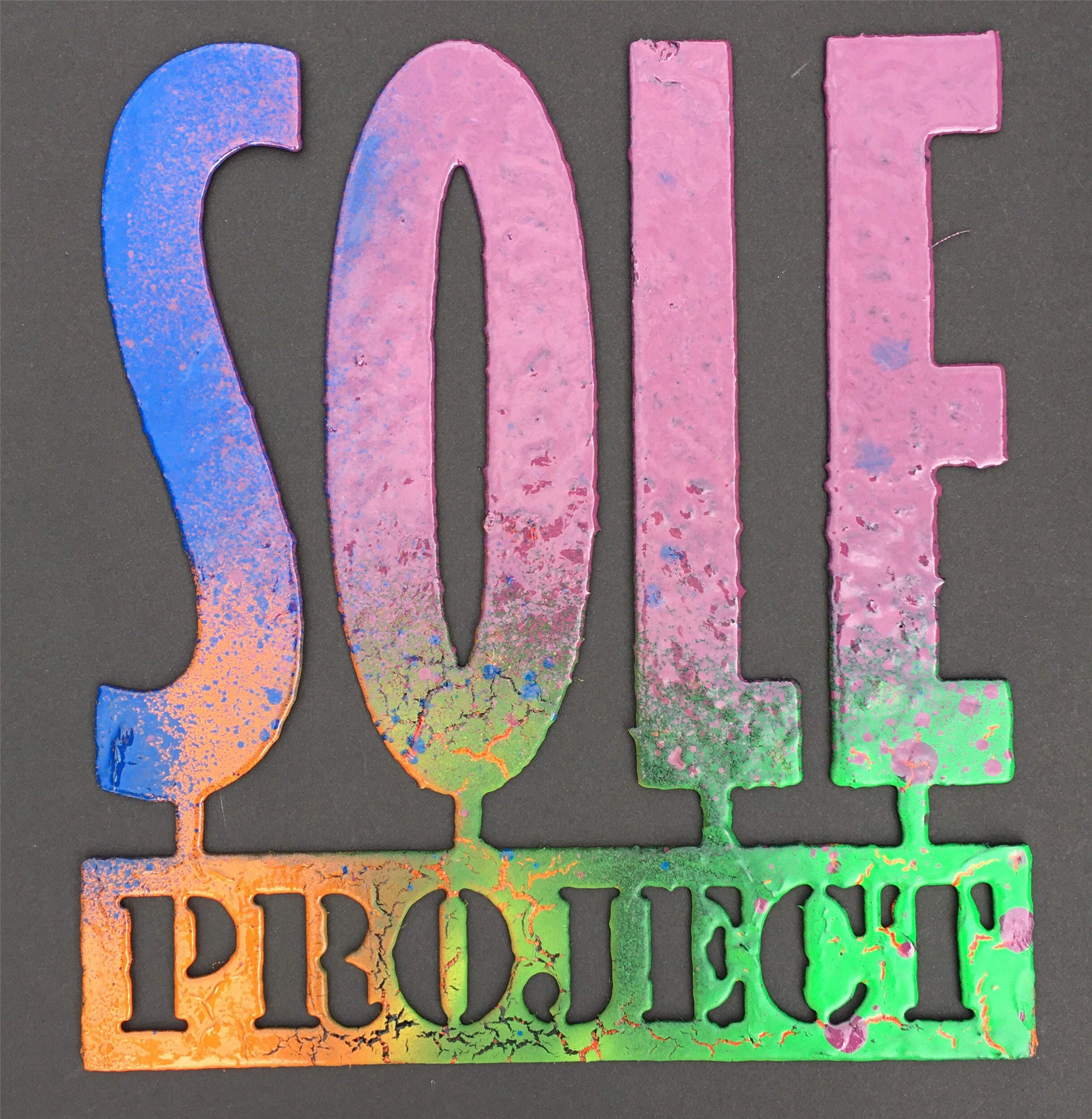 Sole Project